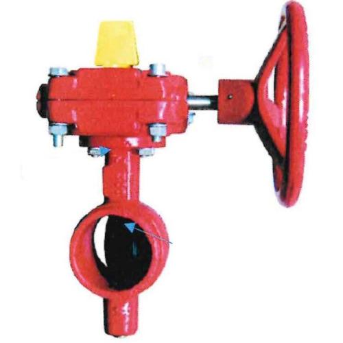 Photo of Product 1005964