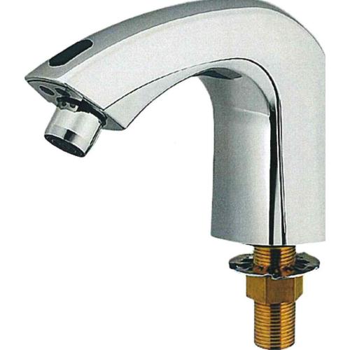 Photo of Product 1017999